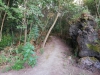 Pineta Atleti Vialetto interno