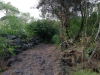 Pineta Atleti Vialetto interno
