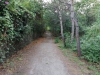 Pineta Atleti Vialetto interno