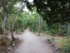 Pineta Atleti Vialetto interno