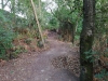 Pineta Atleti Vialetto interno