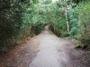 Pineta Atleti Vialetto interno